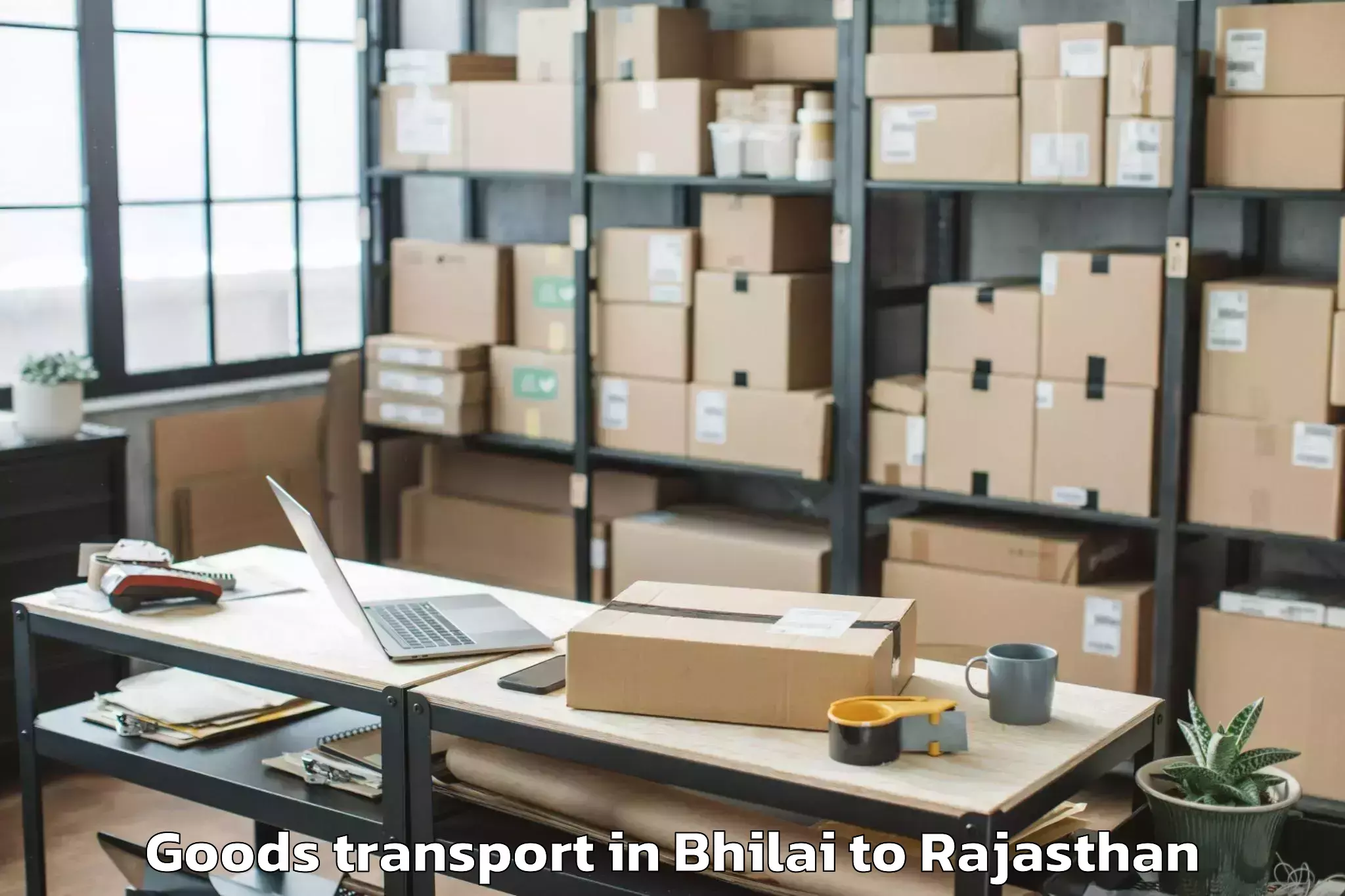 Book Bhilai to Jobner Goods Transport